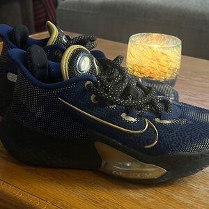 NIKE AIR ZOOM BB NXT BLUE VOID/METALLIC GOLD COIN SIZE 4